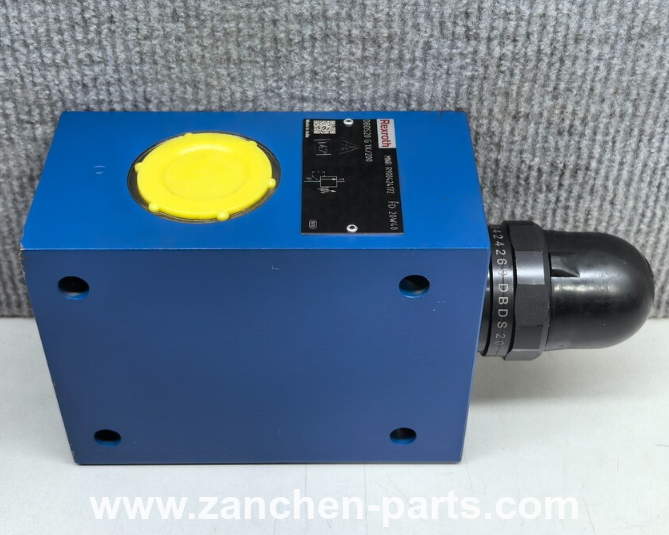 Rexroth R900424172 Pressure Relief Valve DBDS20G1X/200